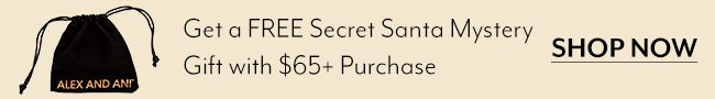 Free Secret Santa Mystery Gift With $65+ Purchase