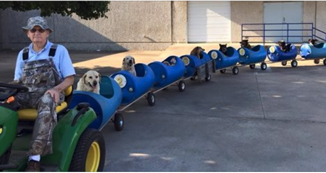 Retired Man Takes Rescue Dogs On ‘Dog Train’ Rides To Brighten Their Days
