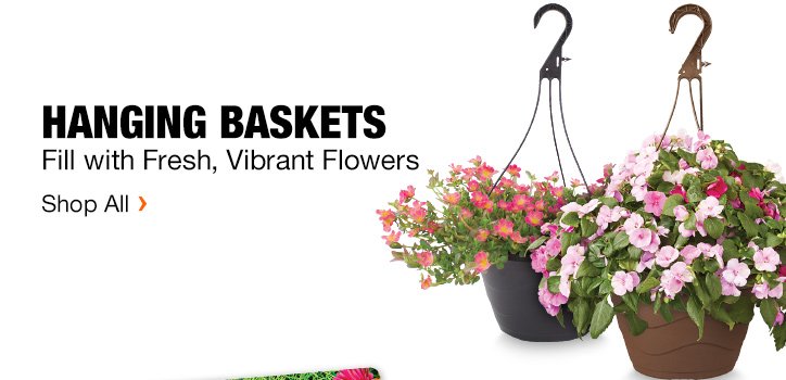 Hanging Baskets | Fill with Fresh, Vibrant Flowers | Shop All