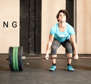 The Gym and Weightlifting Sale