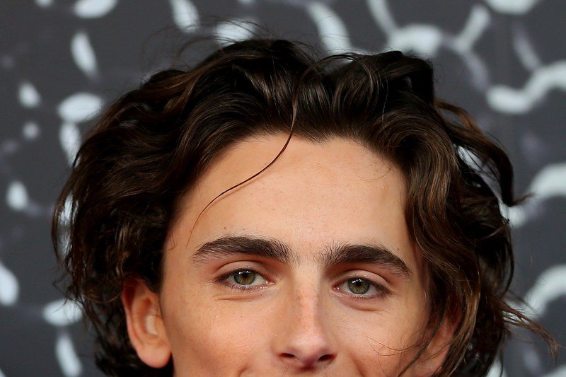 Timothee Chalamet