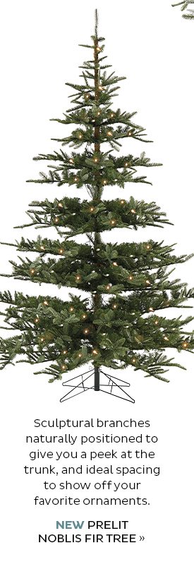 NEW Prelit Noblis Fir Tree