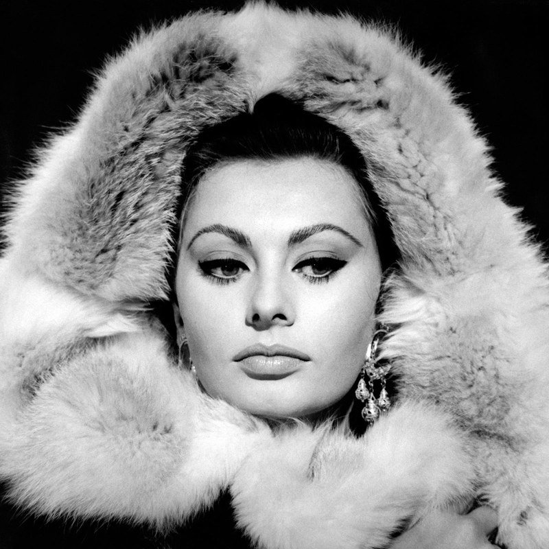 Sophia Loren