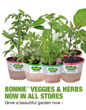 BONNIE VEGGIES & HERBS GROW A BEAUTIFUL GARDEN NOW