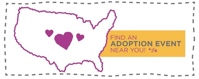Find an Adoption Event
