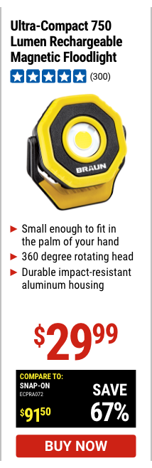 Ultra Compact 750 Lumen Rechargable Magnetic Floodlight