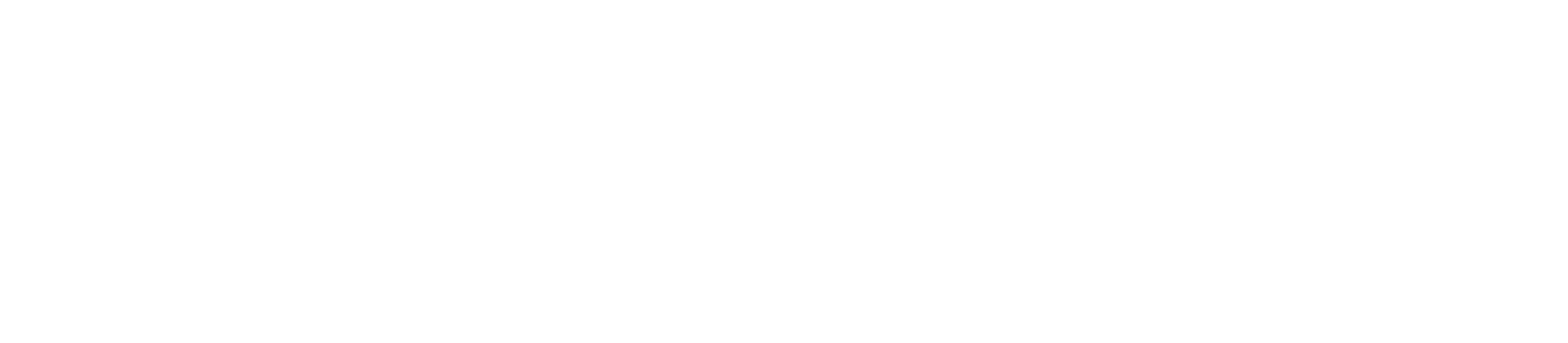Buy Now Pay Later with Klarna
