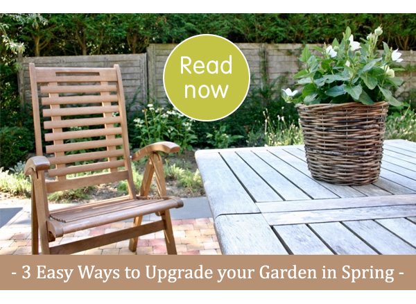 3 Easy Ways to Upgrade your Garden in Spring