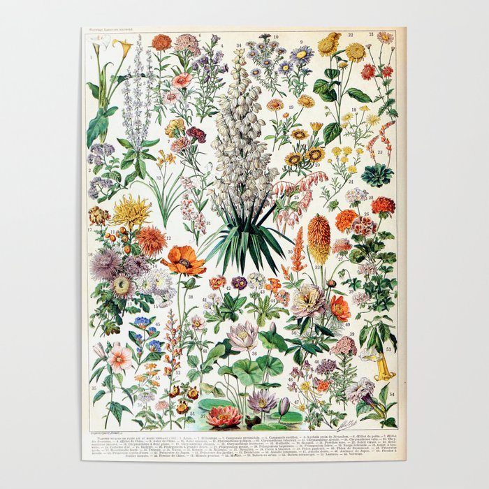 Adolphe Millot - Fleurs B - French vintage poster