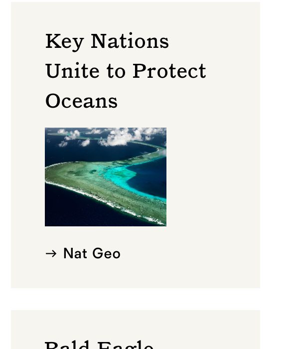 Key Nations Unite to Protect Oceans