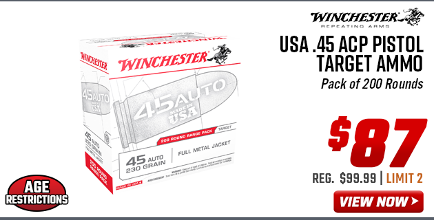 Winchester USA .45 ACP Pistol Target Ammo Pack of 200 Rounds