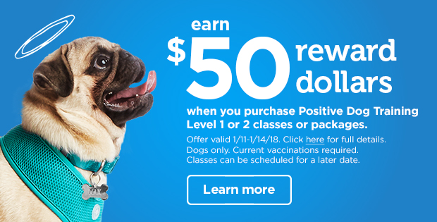Brush up on their social skills. Earn $50 Reward Dollars when you purchase Positive Dog Training Level 1 or 2 classes and packages. Learn more >