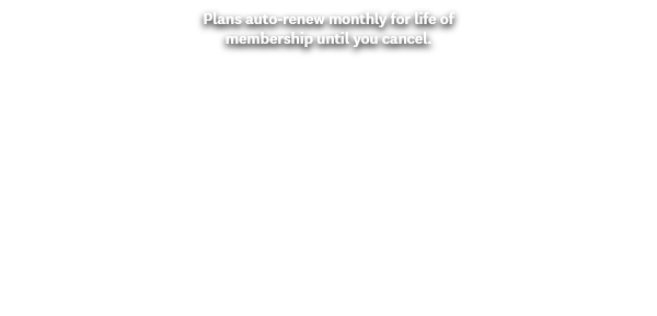 Plans auto-renew at the standard monthly rate until you cancel.