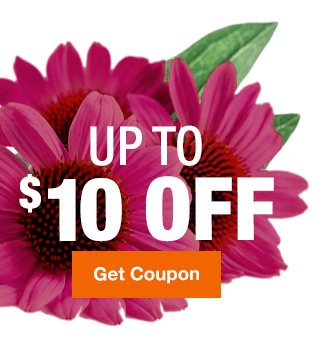 $5 off $50, $10 off $100