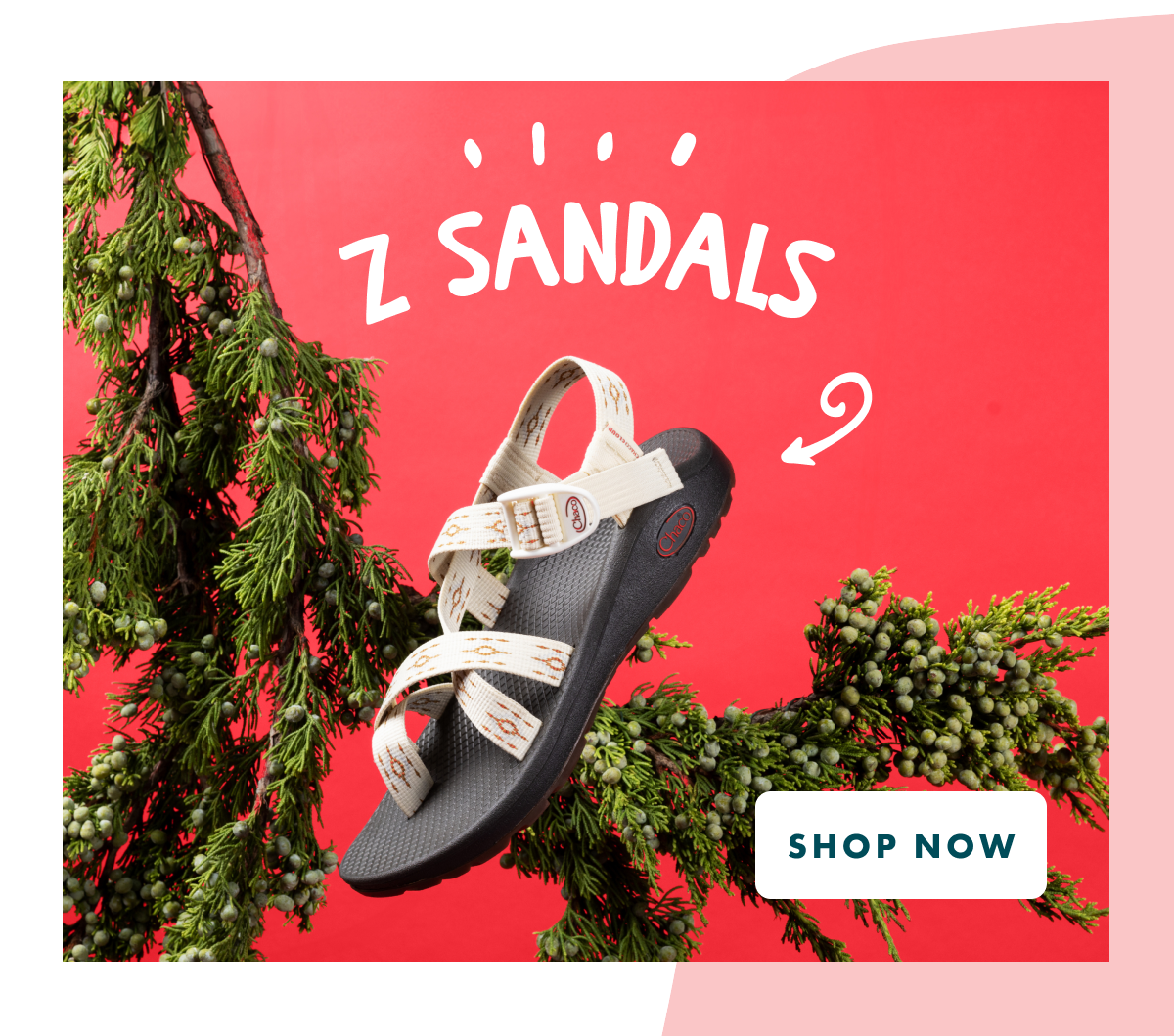 Z/SANDALS - SHOP NOW