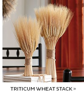 Triticum Wheat Stack