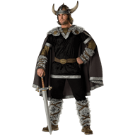 Viking Warrior Men's Costume