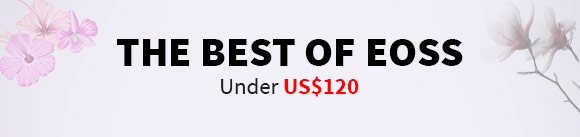 The Best Of Eoss Under US$120