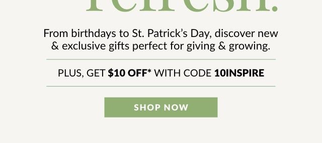 Shop Now for St. Patrick's Day