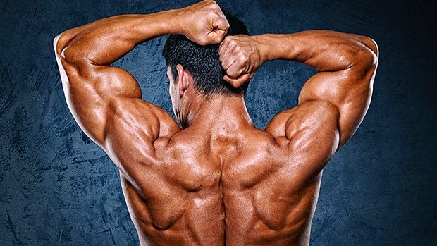Big Shoulders
