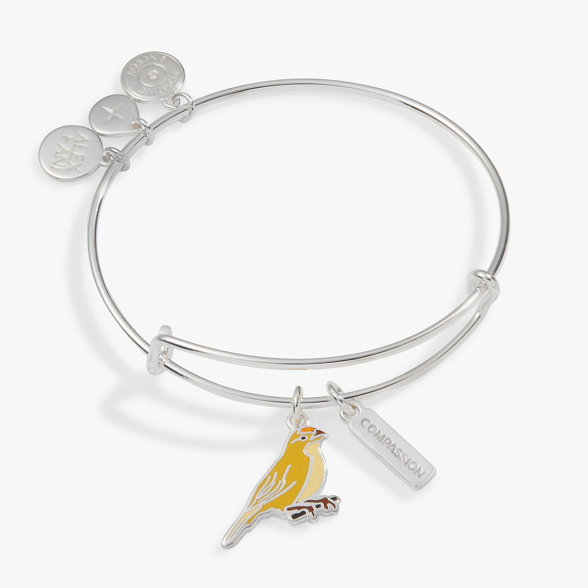 Image of Compassion Yellow Canary Duo Charm Bangle