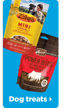 Dog treats