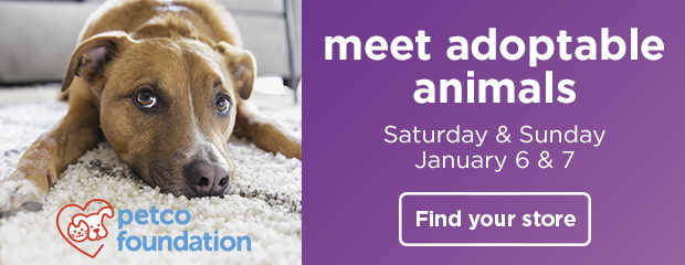 Meet adoptable animals, Saturday & Sunday, January 6 & 7. Find your store >