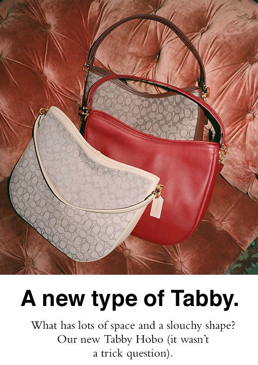 A new type of Tabby. What has lots of space and a slouchy shape? Our new Tabby Hobo (it wasn't a trick question).