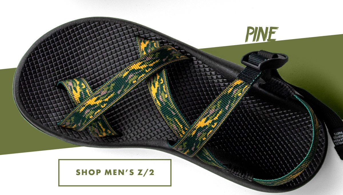 Pine - Shop Men's Z/2