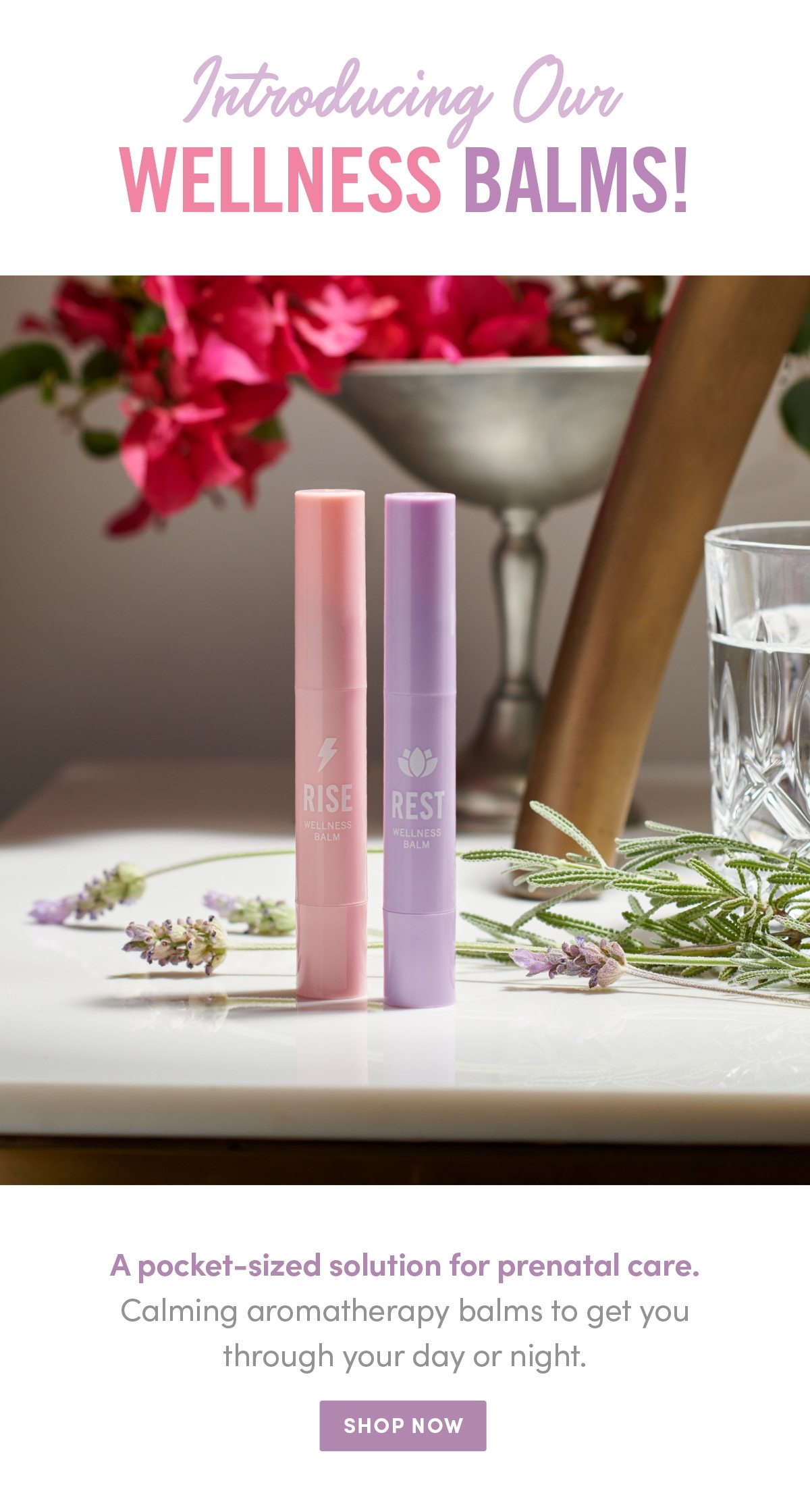 Introducing our wellness balms