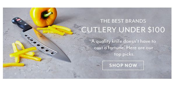 Cutlery Under $100