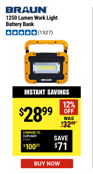 BRAUN: 1250 Lumen Work Light Battery Bank