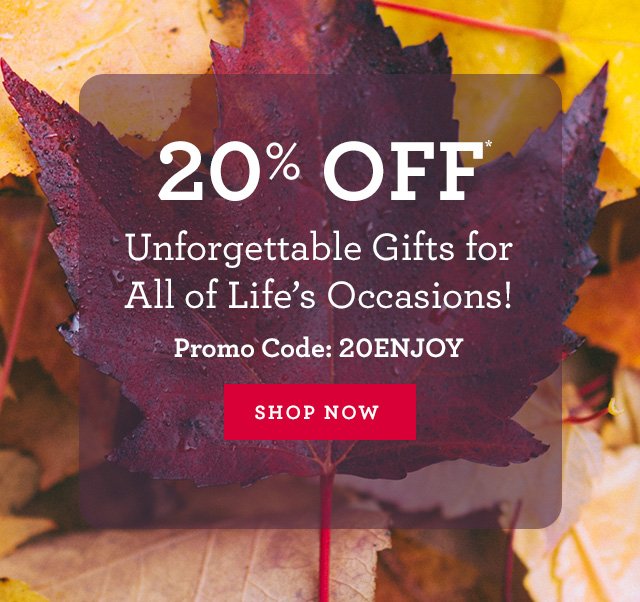 Take 20% Off* Across Our Site Send Unforgettable Flowers & Gifts for All of Life’s Special Occasions! Promo Code: 20ENJOY [SHOP NOW]