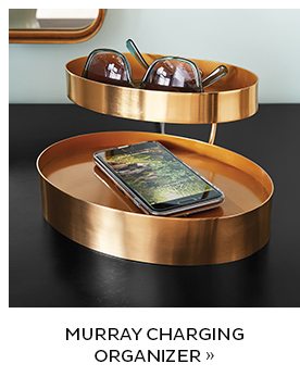 Murray Charging Organizer