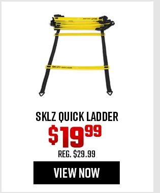 SKLZ Quick Ladder