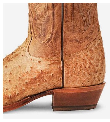 Shop Ostrich Boots »