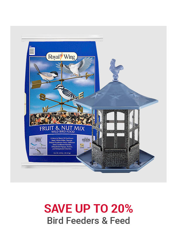 Bird Feeders and Feed