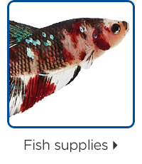 Fish supplies.