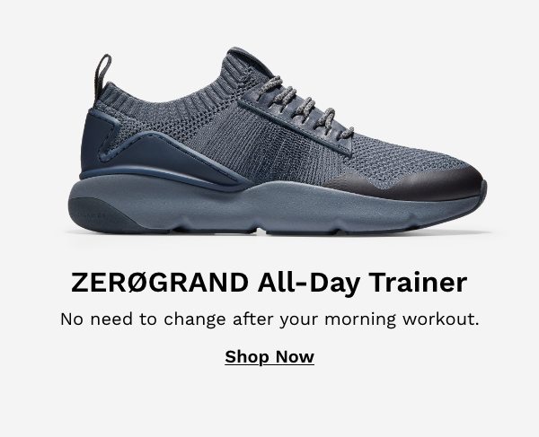 Shop Zerogrand All Day Trainer in Blue