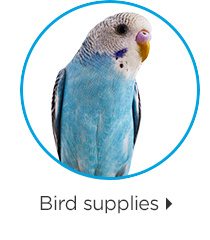Bird supplies.