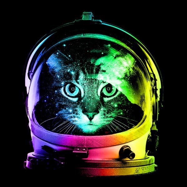 http://www.teefury.com/astronaut-cat