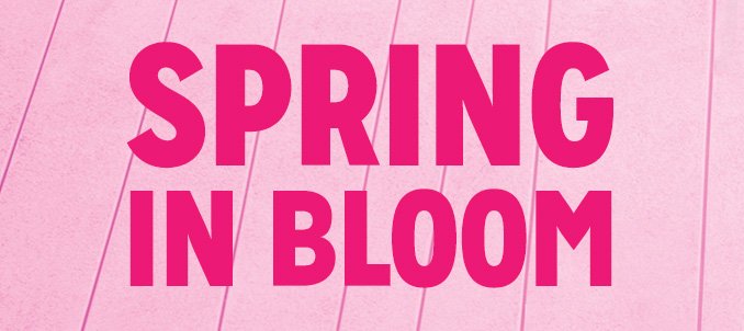 SPRING IN BLOOM