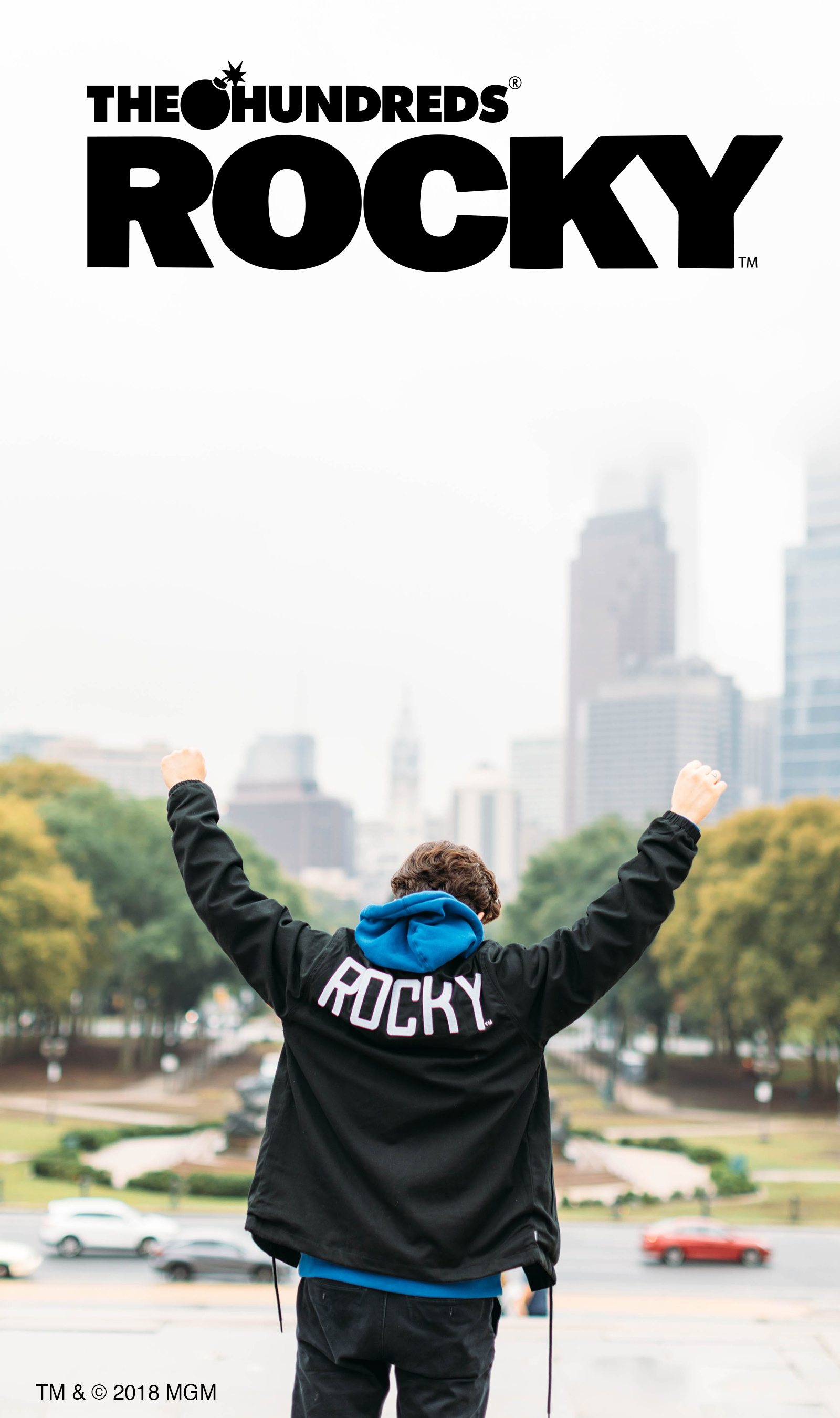 the hundreds rocky hoodie