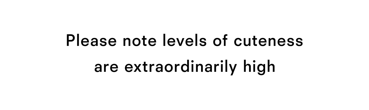 Please note levels of cuteness are extraordinarily high