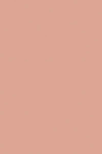 Acne Studios - Shop women's sale