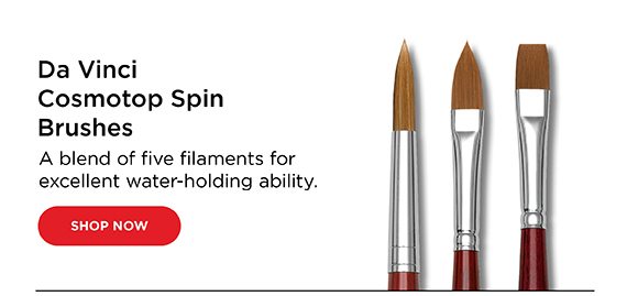 Da Vinci Cosmotop Spin Brushes