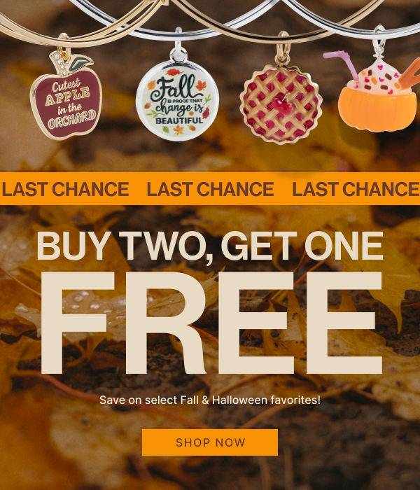 Last Chance | Buy 2, Get 1 FREE | SHOP NOW