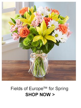 Fields of Europe Spring