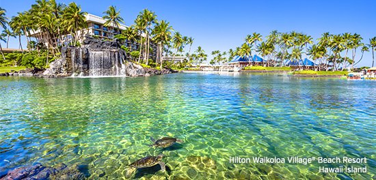 Hawaii Island or Oahu Hilton Resorts