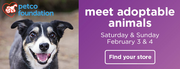 Meet adoptable animals. Saturday & Sunday February 3 & 4. Find your store >